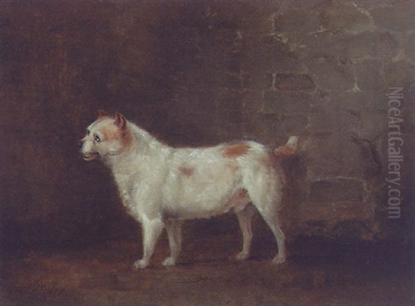 Dandy, A Terrier Oil Painting by George Nairn