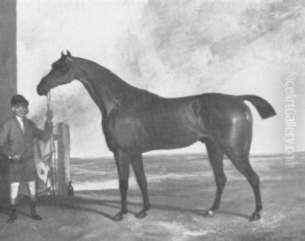 A Bay Hunter Held By A Groom Oil Painting by George Nairn