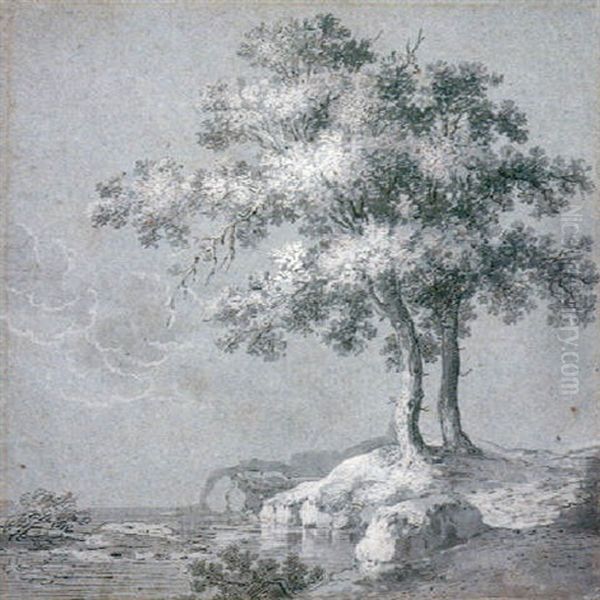 Two Trees On The Banks Of A Lake (recto)                    The Head Of A Woman (verso) Oil Painting by Hermann Naiwincx