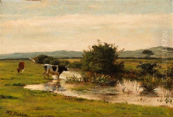 Cows By A Brook In Dekkersduin Oil Painting by Willem Carel Nakken