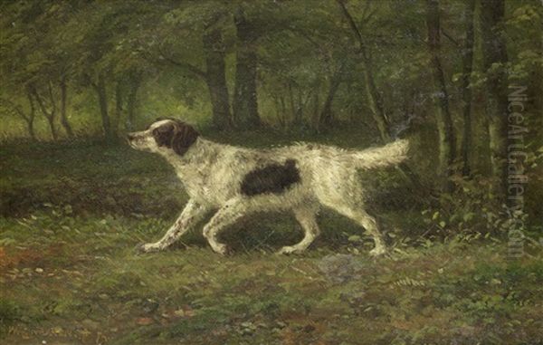 A Setter In The Field Oil Painting by Willem Carel Nakken