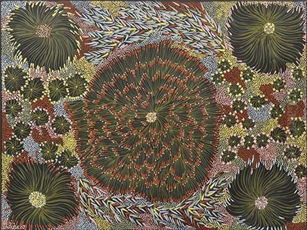 Uparli Tjukurrpa (bush Banana Dreaming) Oil Painting by Eunice Napangardi