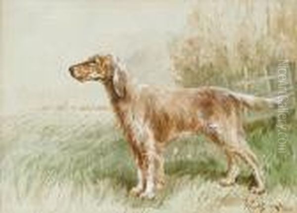 An English Setter In A Field Oil Painting by Binks, R. Ward