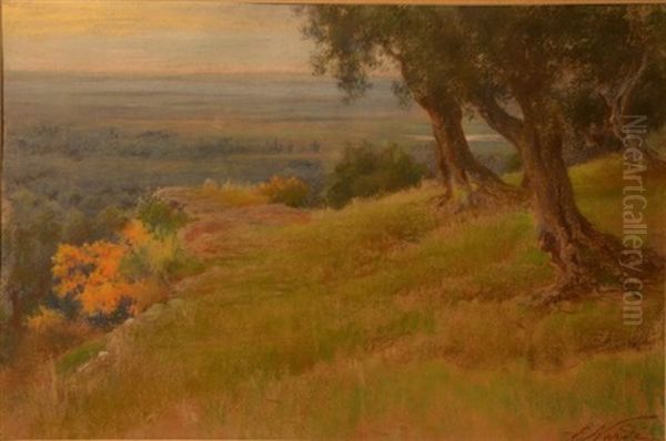 Landscape Oil Painting by Enrico Nardi