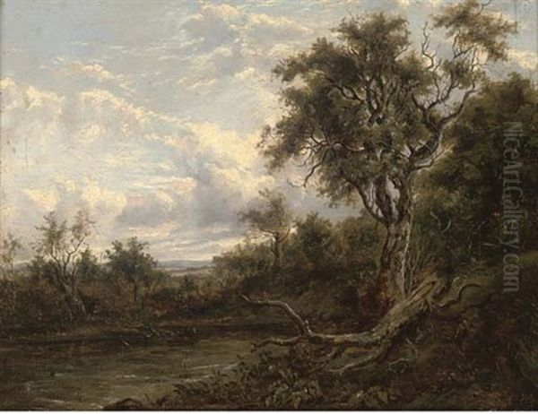 A Fallen Branch On A River Bank Oil Painting by Patrick Nasmyth