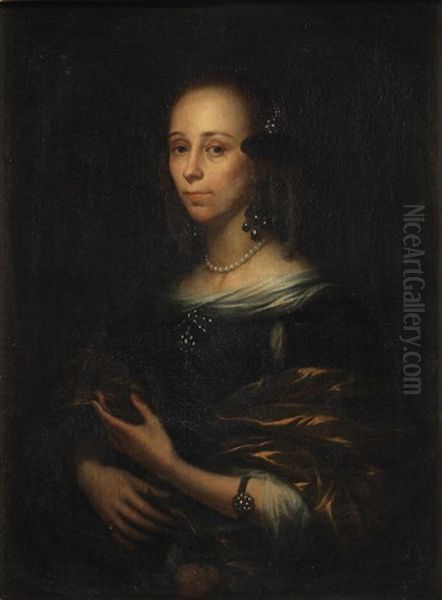 Portrait Of A Lady, Half-length, In A Blue Dress With A Gold Shawl Oil Painting by Pieter Nason