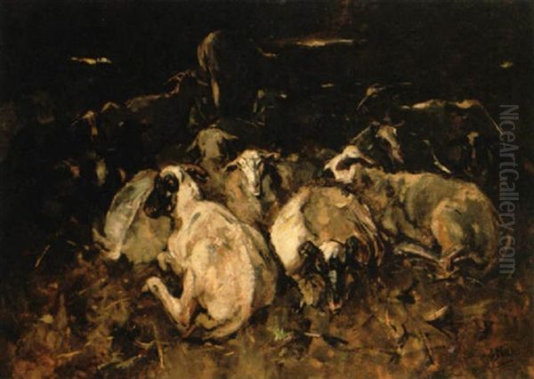 Resting Sheep Oil Painting by Willem Van Der Nat