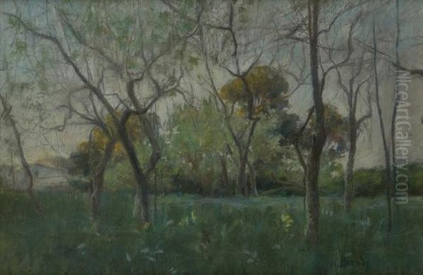 Alberi In Campagna Oil Painting by Nicola Biondi