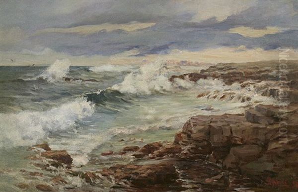 Seascape With Gulls And Boulders Oil Painting by Pieter Hugo Naude