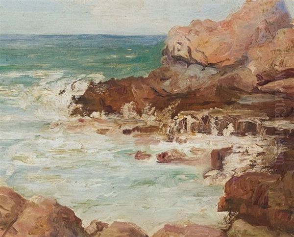 Cliffs At Hermanus Oil Painting by Pieter Hugo Naude