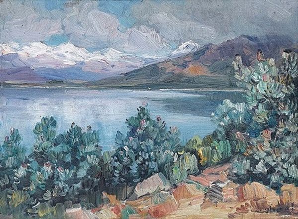 Brandvlei Dam, Worcester by Pieter Hugo Naude