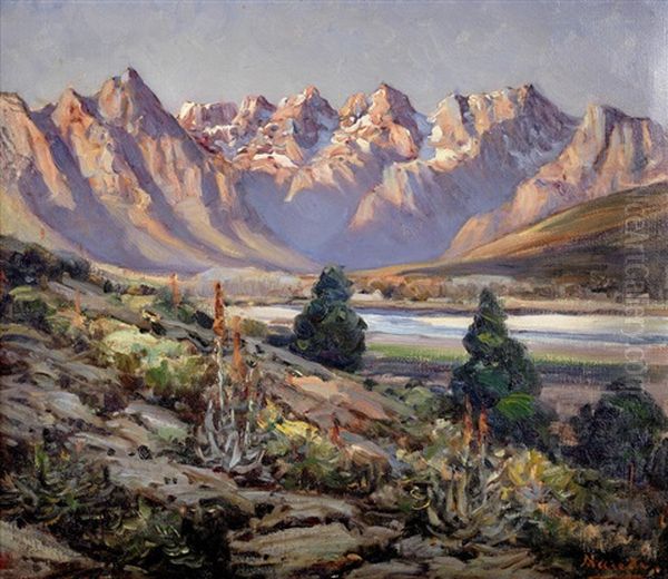 The Worcester Mountains Oil Painting by Pieter Hugo Naude