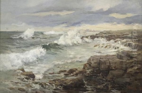 Seascape With Gulls And Boulders Oil Painting by Pieter Hugo Naude