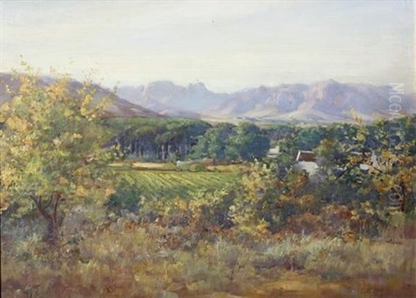 A Wine Farm, Paarl by Pieter Hugo Naude