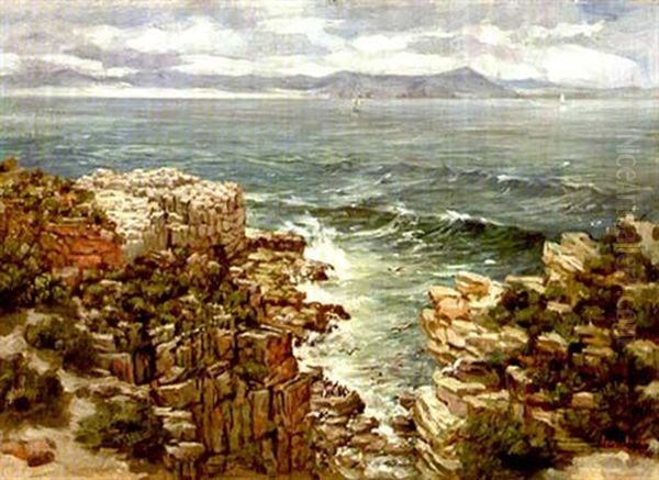 A View Of Walker Bay From Roman Rock, Hermanus Oil Painting by Pieter Hugo Naude