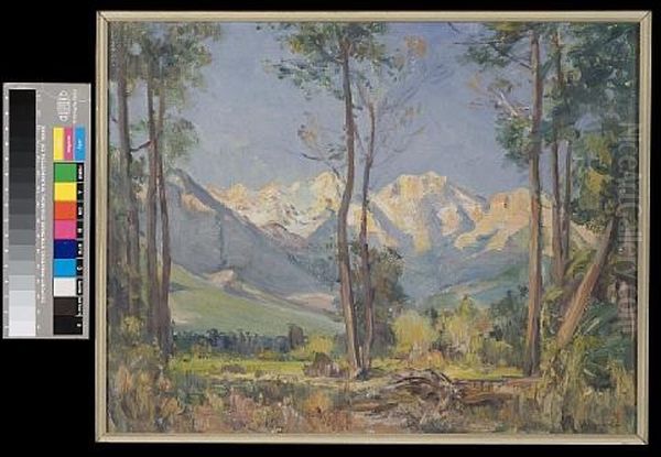 The Worcester Mountains Oil Painting by Pieter Hugo Naude