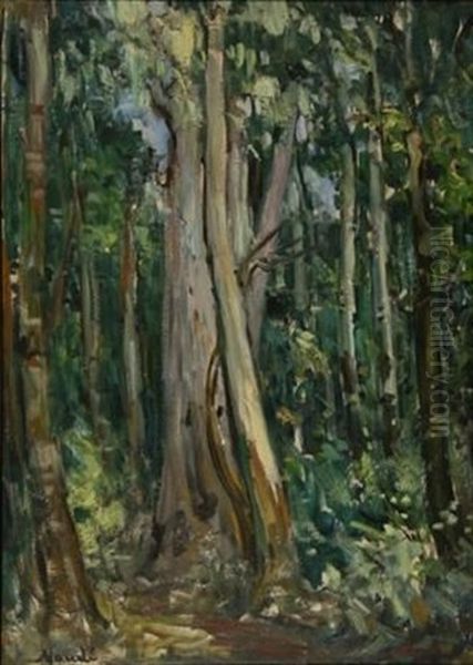 Gum Trees Oil Painting by Pieter Hugo Naude