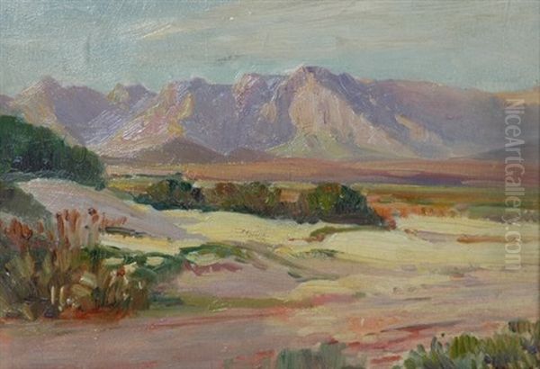 Extensive Landscape With Distant Mountains Oil Painting by Pieter Hugo Naude