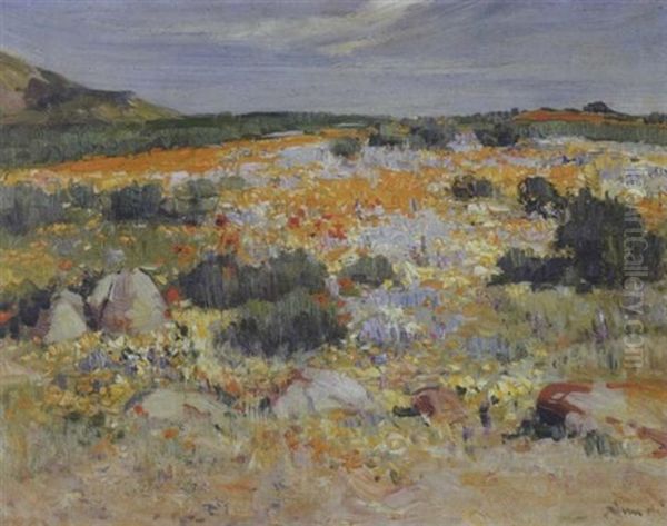 Namaqualand In Spring Oil Painting by Pieter Hugo Naude