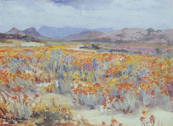 Namaqualand Daisies by Pieter Hugo Naude