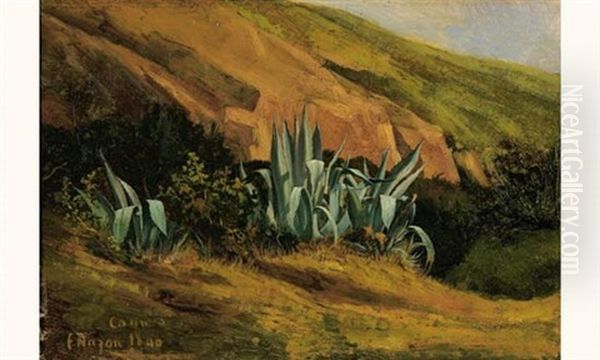 Des Agaves Dans La Region De Cannes Oil Painting by Francois Henri Nazon