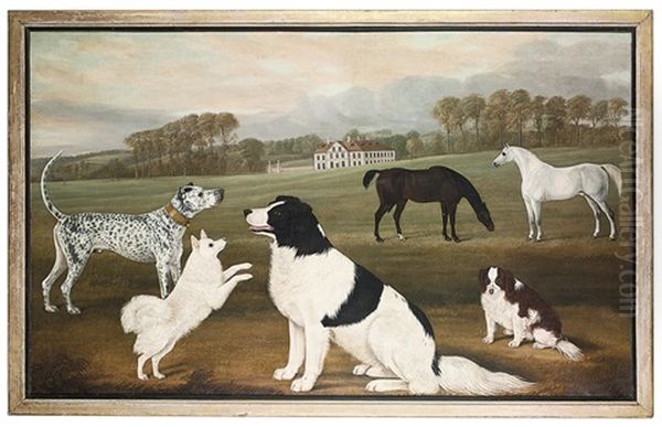 A Mastiff, A Pomeranian, A Newfoundland And A Spaniel Oil Painting by William Nedham