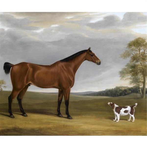 A Bay Hunter And Spaniel Before Goodwood Park Oil Painting by William Nedham