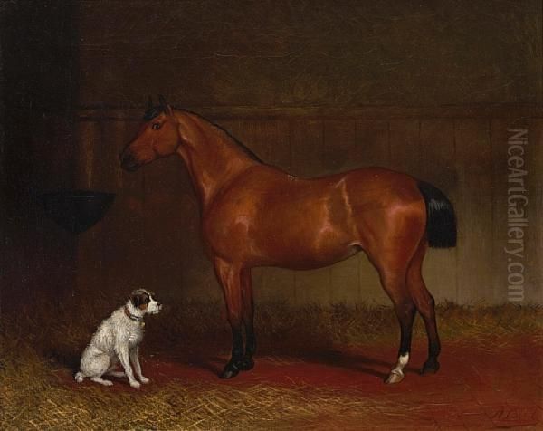 Bay Horse And Terrier In A Stable Oil Painting by John Alex. Harington Bird