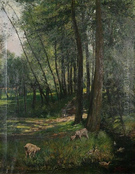 Chemin Forestier Ensoleille Avec Chevres Et Canards Pres Du Ruisseau Oil Painting by Jan Neervoort