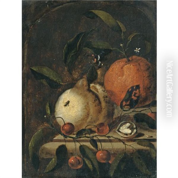 A Still Life With A Lemon, An Orange And A Walnut On A Ledge by Martinus Nellius