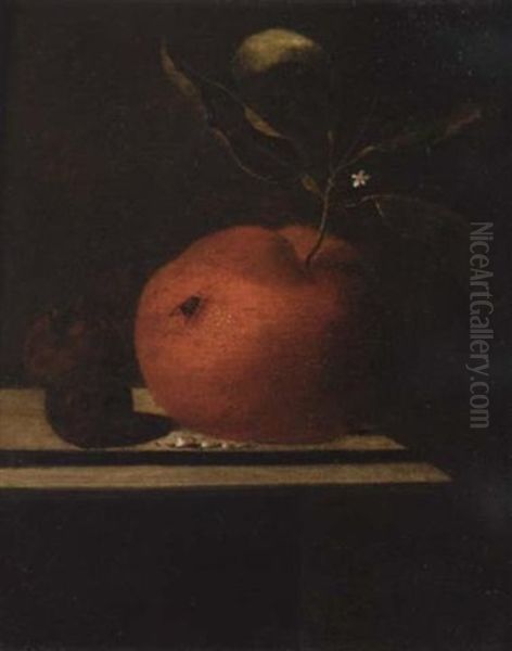 A Still Life Of An Orange And Two Medlars Upon A Ledge Oil Painting by Martinus Nellius