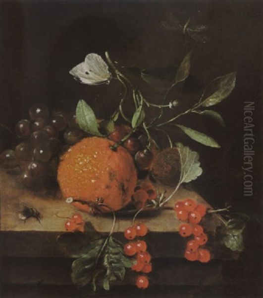 A Sitll Life Of An Orange, Grapes And Red Berries, Together With A White Butterfly, A Dragonfly And A Bee, All On A Wooden Ledge Oil Painting by Martinus Nellius