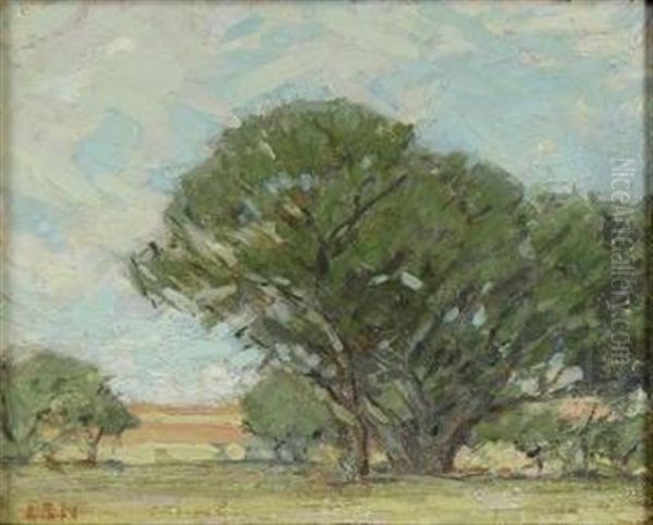 The Grounds Near Stanford, Palo Alto by Ernest Bruce Nelson