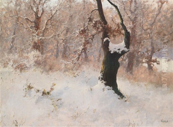 Winterwald Oil Painting by Antal (Laszlo) Neogrady