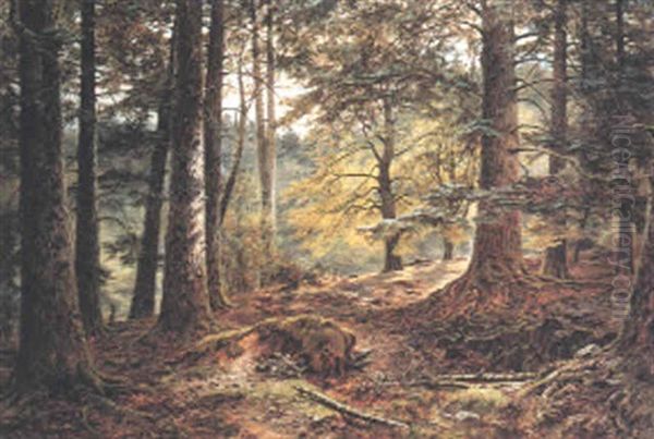 In The Deer Forest, Inverary Oil Painting by John Nesbitt