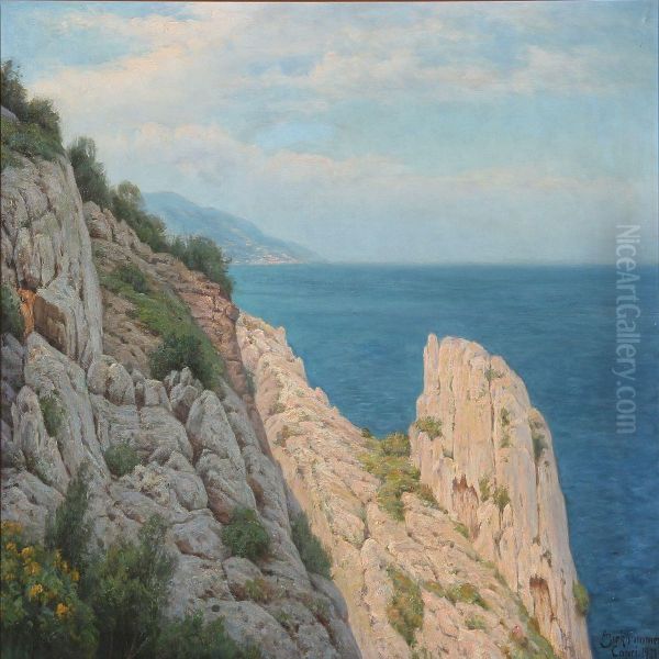 Rocky Coast On Capri Oil Painting by Axel Birkhammer