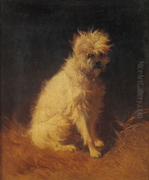 Promenadenmischung - Weiser Terrier Vor Dunklem Grund Oil Painting by Josef Neugebauer