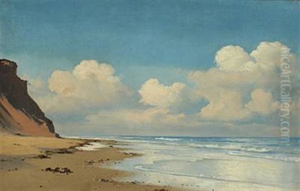 Sunny Day At Rubjerg Knude Oil Painting by Carl Johann Neumann