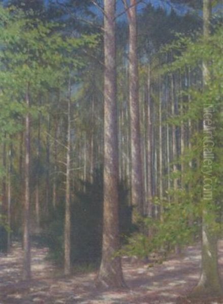 Forest Glade Oil Painting by Christopher Richard Wynne Nevinson