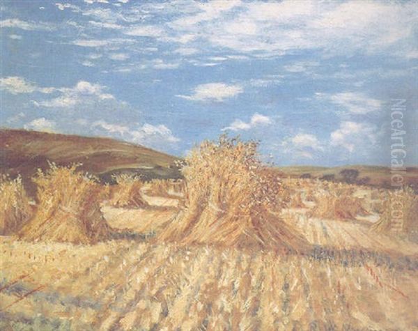 The Torn Cornfield Oil Painting by Christopher Richard Wynne Nevinson