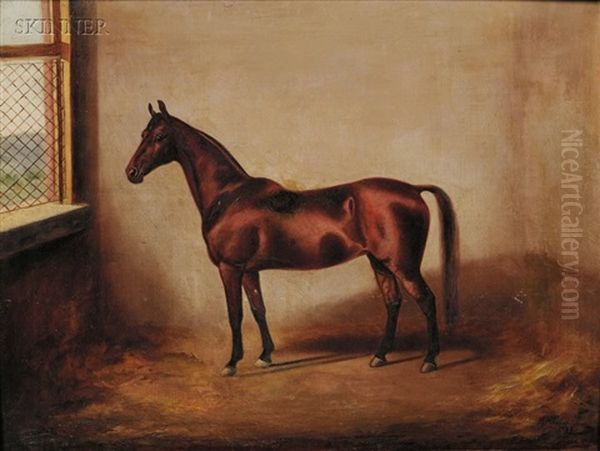 Portrait Of A Horse Oil Painting by Marie Guise Newcomb