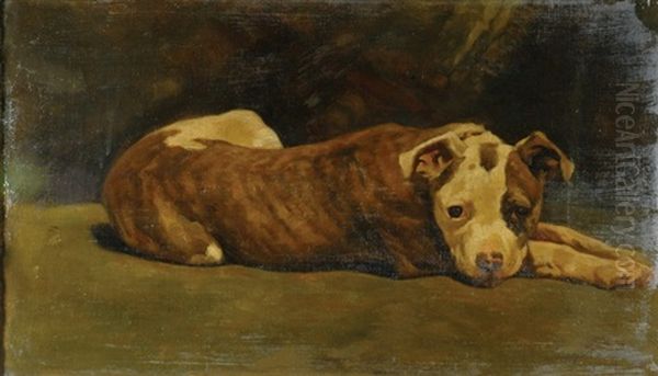 An Observant Friend At Rest Oil Painting by Marie Guise Newcomb