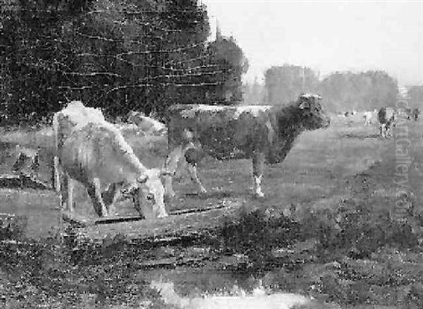 Cows At Waterhole Oil Painting by George Glenn Newell