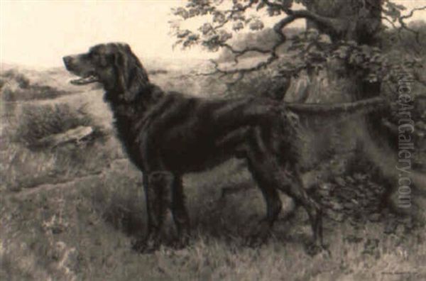 An Irish Setter by Richard Newton II