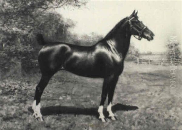 Portrait Of The Horse 'lady Dilham' by Richard Newton II