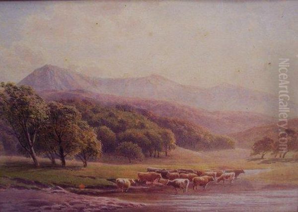 Cattle Watering Oil Painting by Henry Birtles