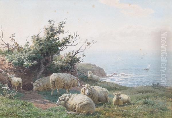 Sheep Resting In A Coastal Field Oil Painting by Henry Birtles