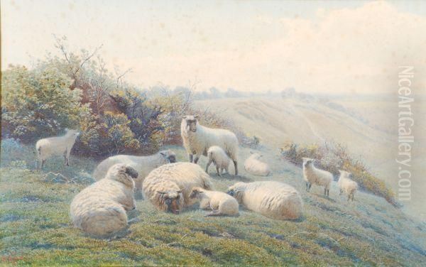 Sheepon A Hillside Oil Painting by Henry Birtles