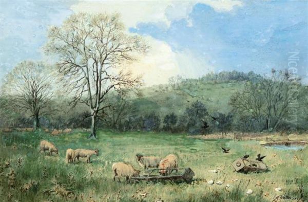 Sheep In A Meadow Oil Painting by Henry Birtles