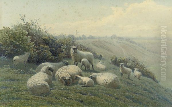 Sheep On A Hillside Oil Painting by Henry Birtles